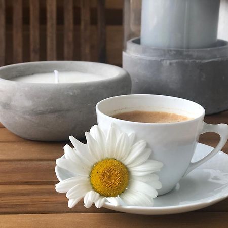 Przytulny Apartament Debina Daire Debina  Dış mekan fotoğraf