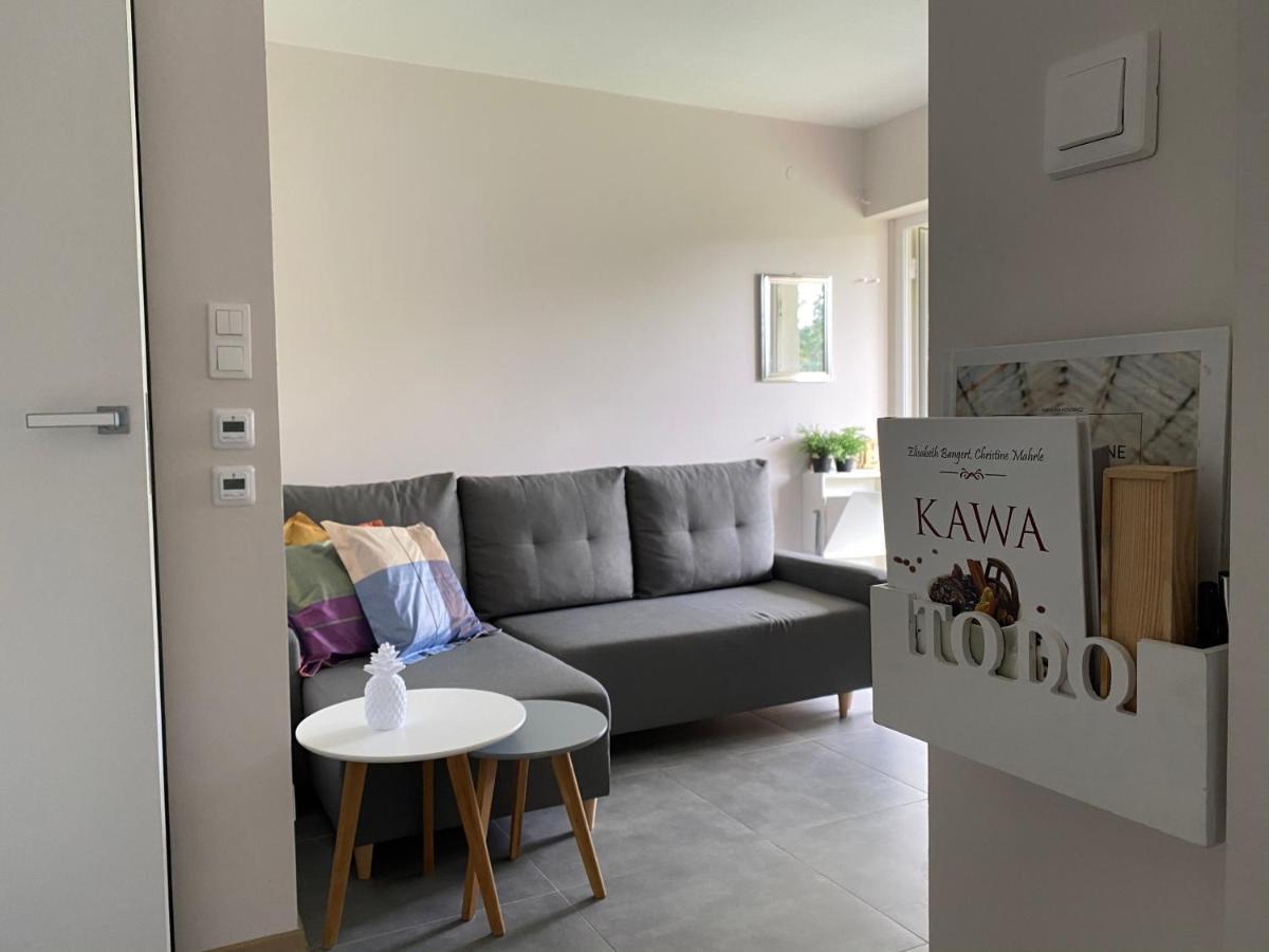 Przytulny Apartament Debina Daire Debina  Dış mekan fotoğraf